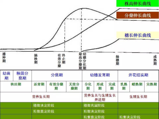 1686624641320496.png wps1.png