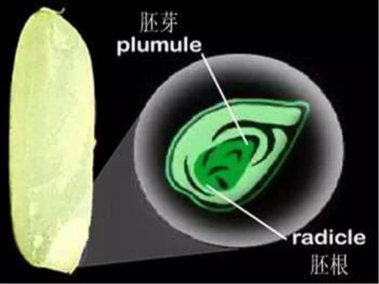 1686624660573077.png wps4.png