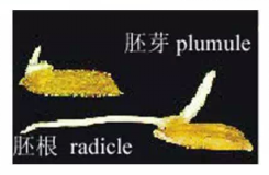 1686624669444610.png wps5.png