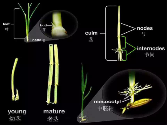 1686624708992280.png wps10.png