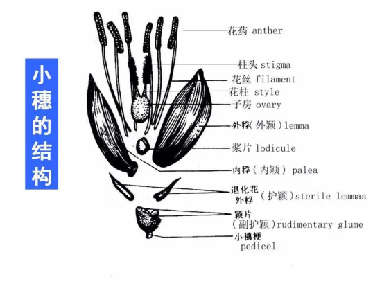 1686624717299732.png wps12.png