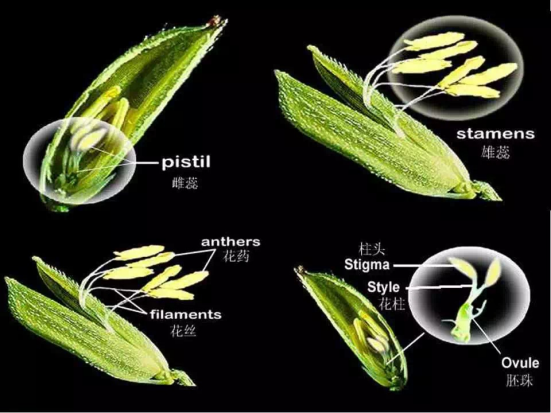 1686624733499462.png wps14.png