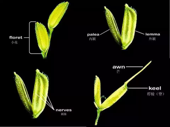 1686624772366715.png wps15.png