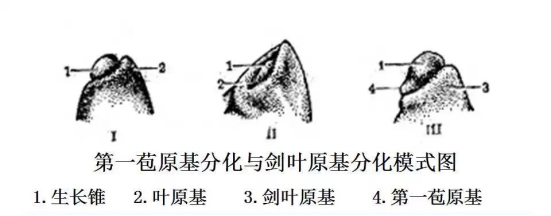 1686624790344220.png wps17.png