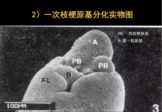 1686624800398793.png wps19.png