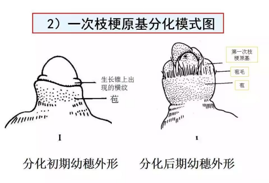 1686624809879279.png wps20.png