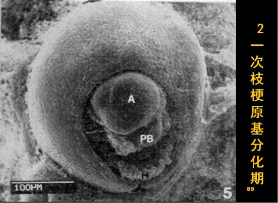 1686624859593014.png wps21.png