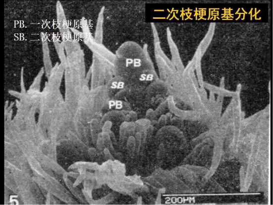 1686624870570144.png wps23.png