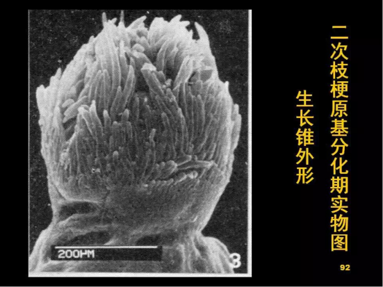 1686624874582883.png wps24.png