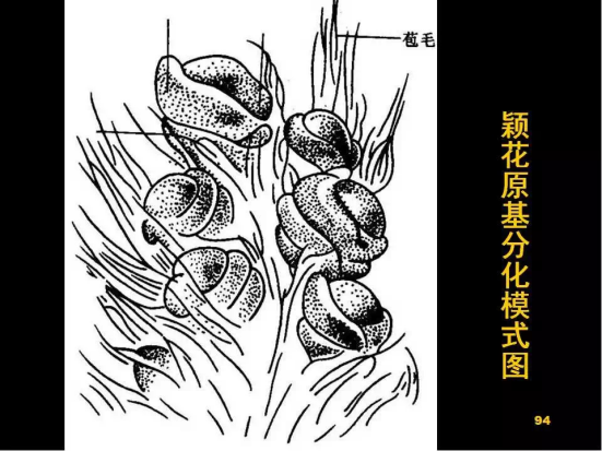 1686624878137384.png wps25.png