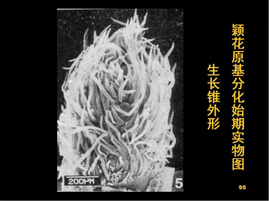 1686624883526876.png wps26.png