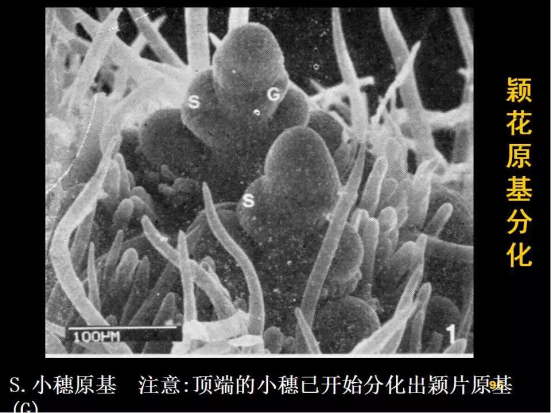 1686624929228705.png wps27.png