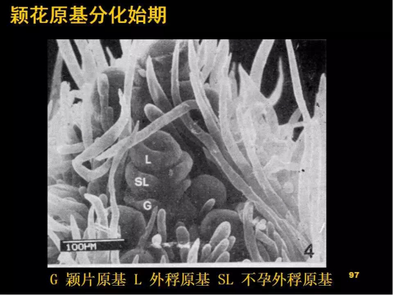 1686624935524207.png wps28.png