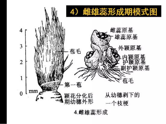 1686624948330269.png wps30.png