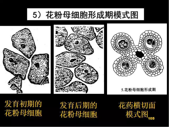 1686625047736820.png wps34.png