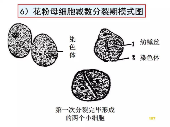 1686625052588508.png wps35.png