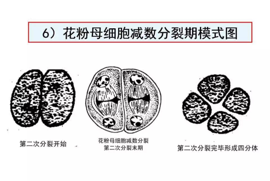 1686625057550442.png wps36.png