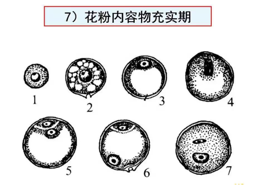 1686625065152865.png wps37.png