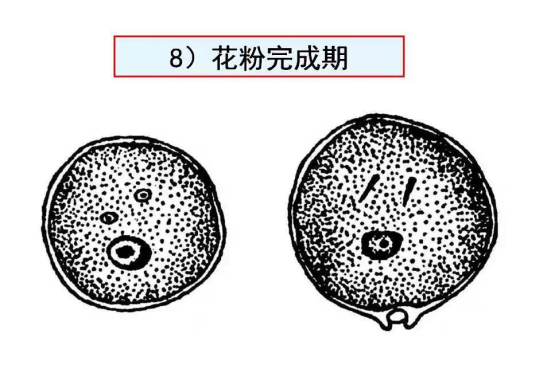 1686625072111739.png wps38.png