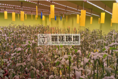 17某大豆育种企业.png