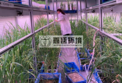 11兰州大学生命科学学院 (2).png