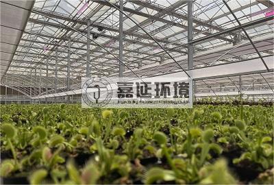 云南省农业科学院花卉研究所.jpg