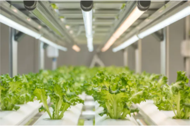 1696986409384645.png 企业微信截图_16969863976935.png