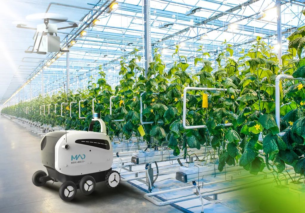 1698124472365942.png 企业微信截图_16981244667523.png