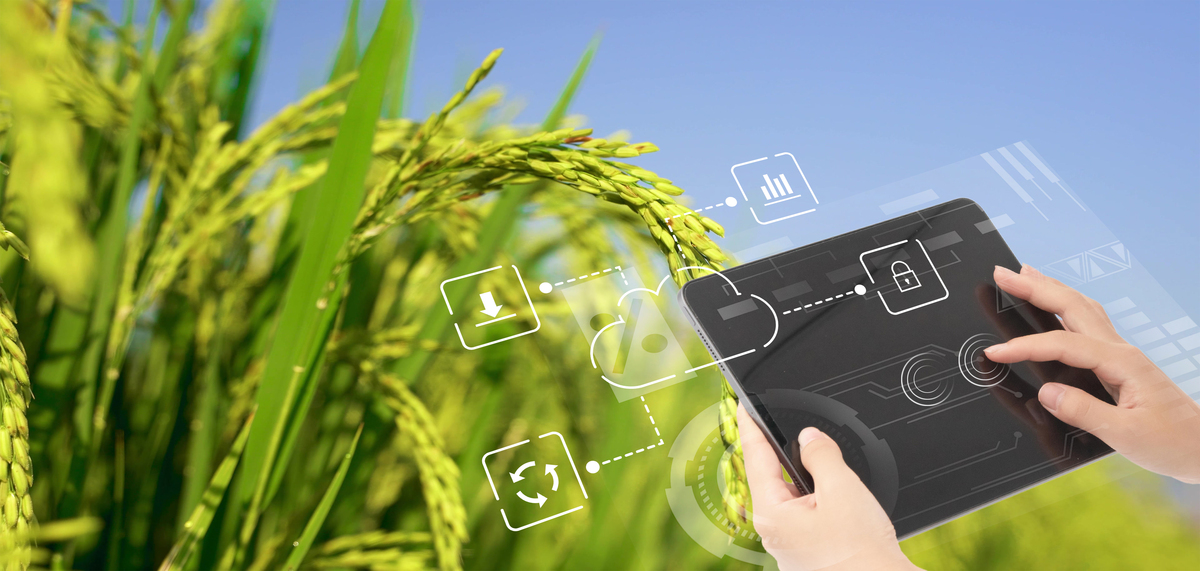 1698124519304791.png 企业微信截图_16981245139696.png