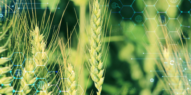 1705993011306899.png 企业微信截图_17059929889289.png