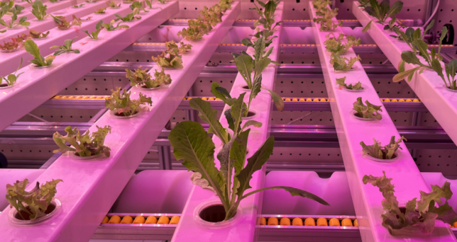 1705993029211941.png wps1.png