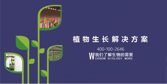 1713336788938882.png image.png