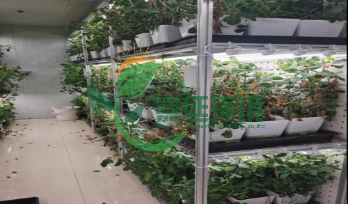 1中科院植物所 (2).png