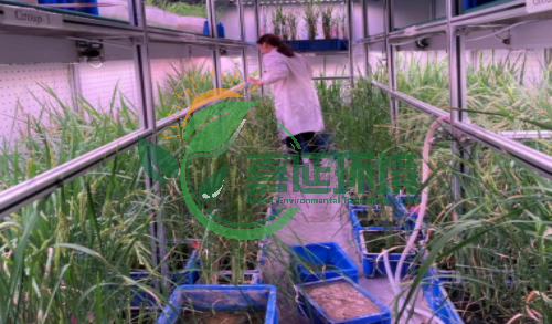 11兰州大学生命科学学院 (2).png