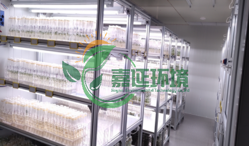 12内蒙古大学生命科学学院 (1).png