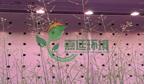 8中国农科院生物技术所 (1).png