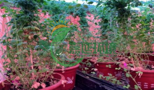 5中国农业大学草业科学与技术学院 (1).png
