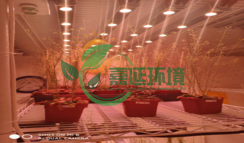 19河南大学 (1).png