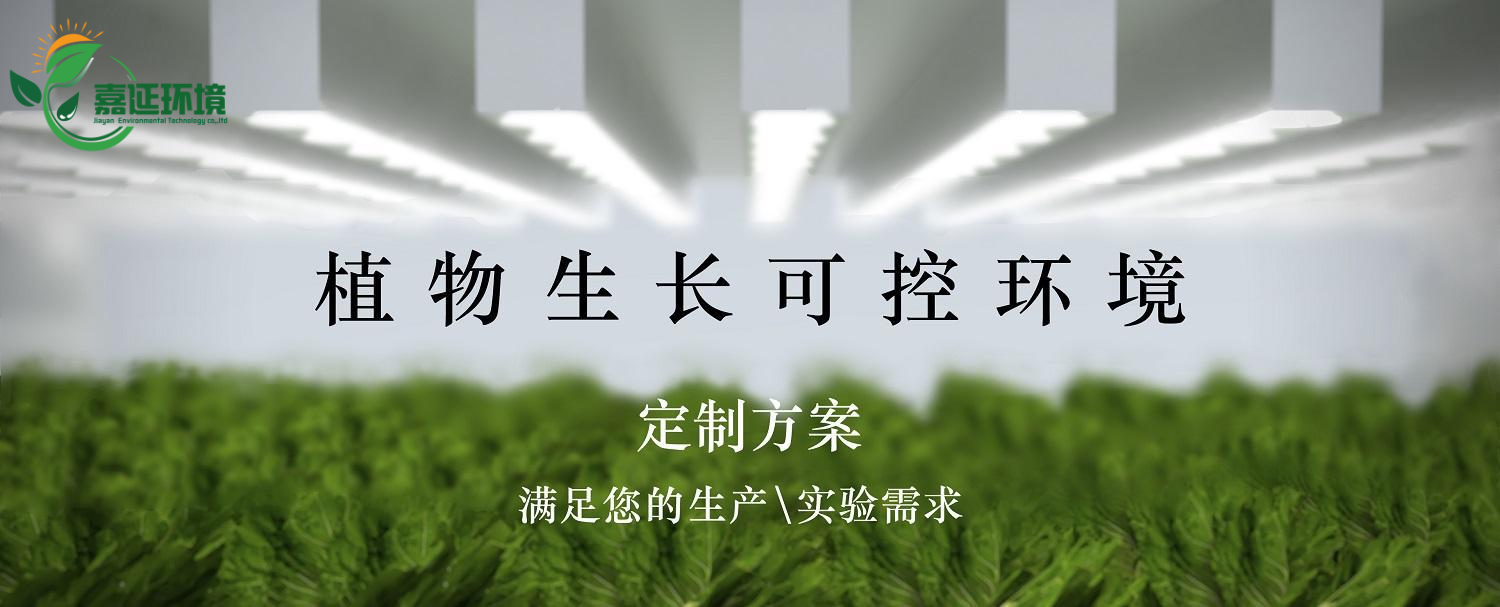公司介绍页面.png