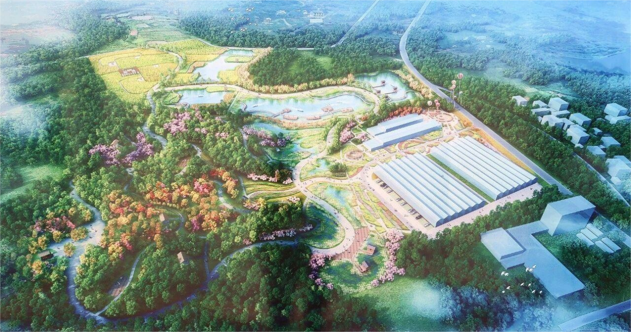 1762408990380923.png 图片1.png