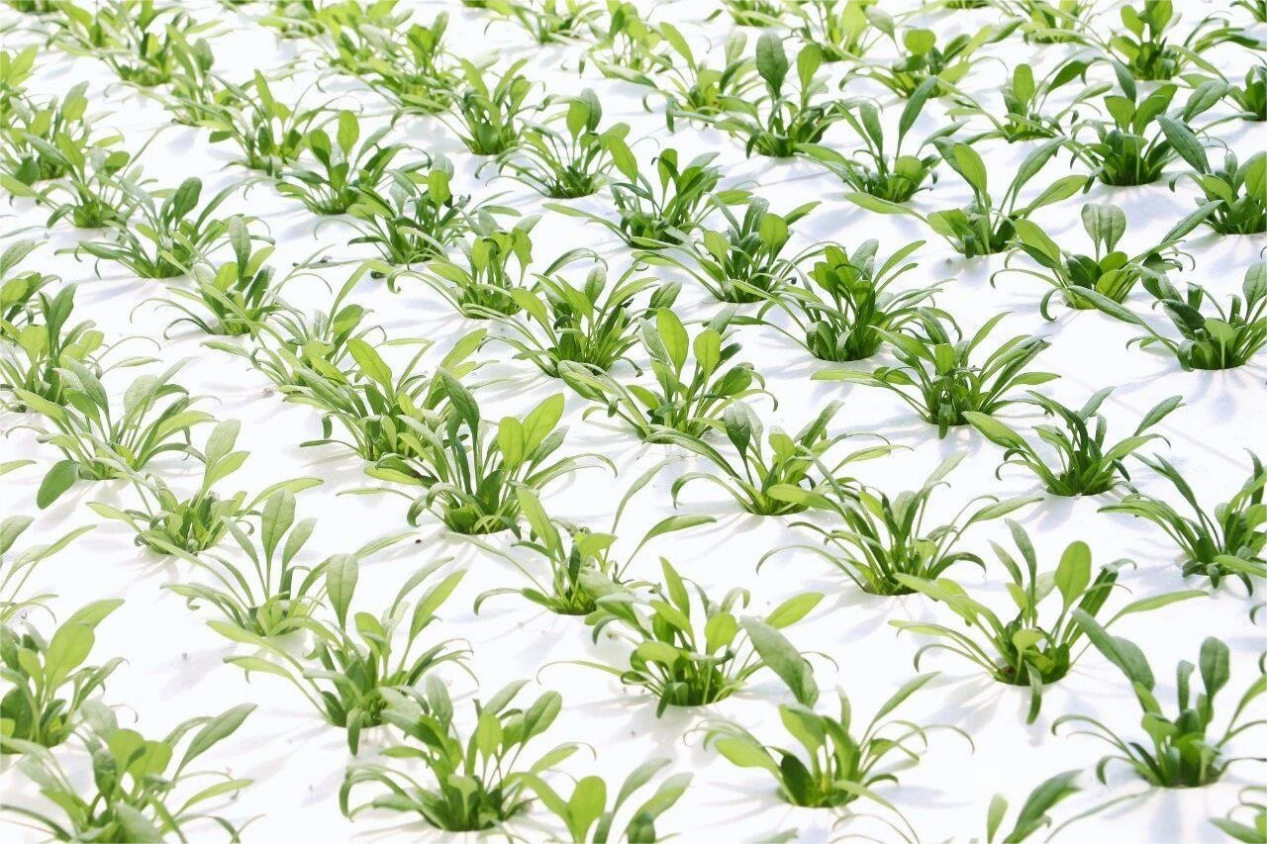 1762409171443105.png 图片3.png