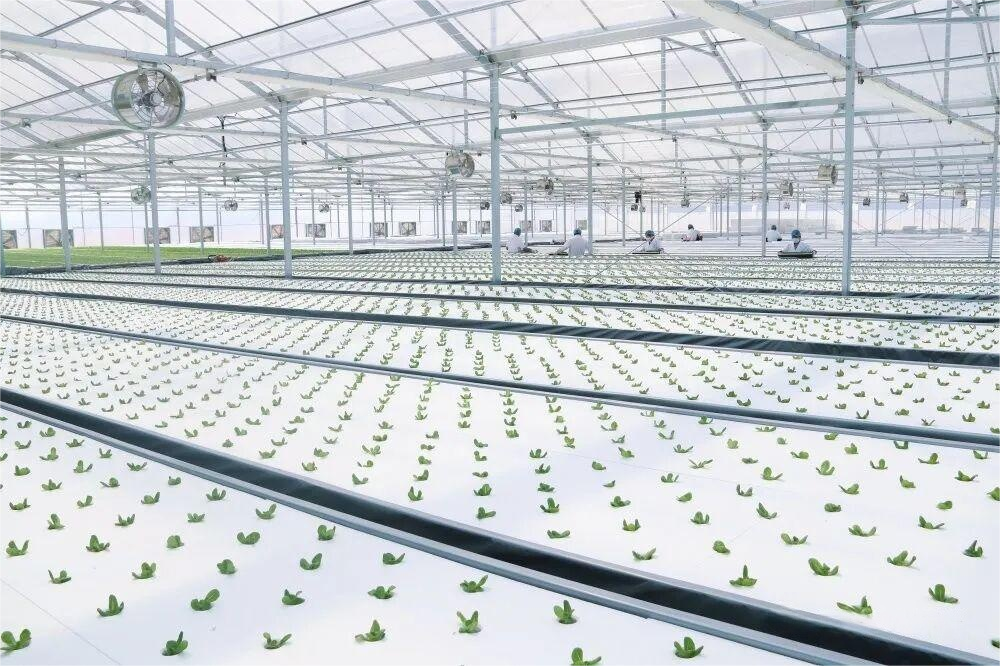 1762409583583077.png 图片4.png