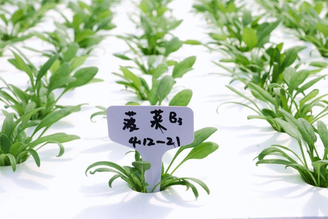 1762411093710666.png 图片7.png