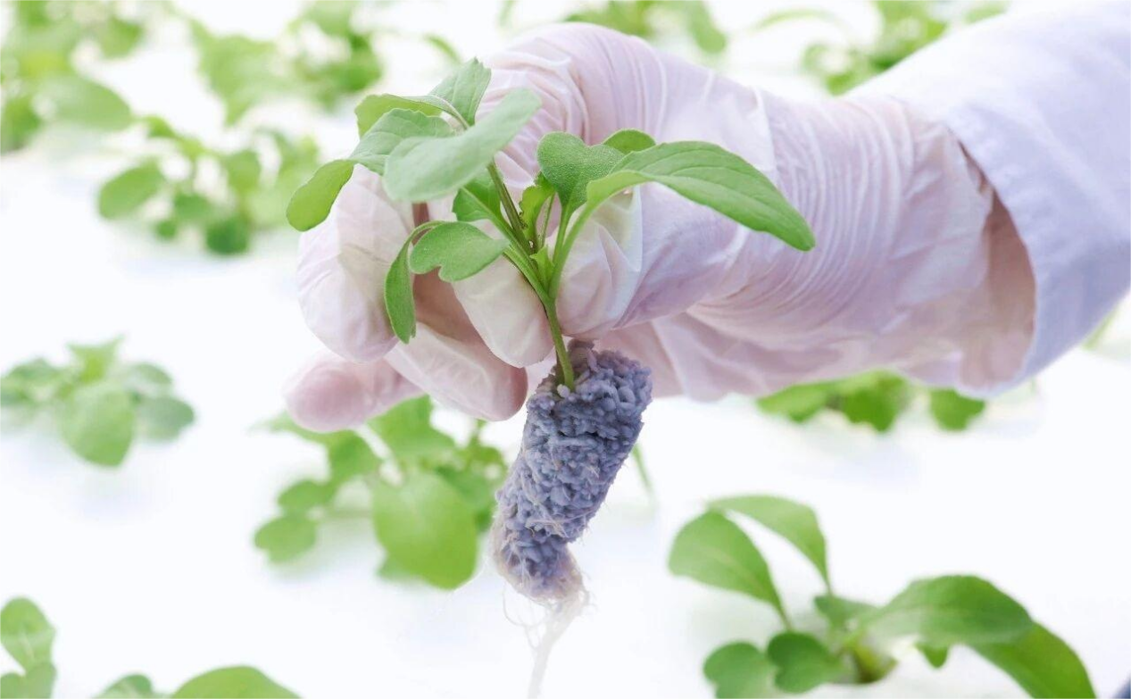 1762411170910228.png 图片8.png