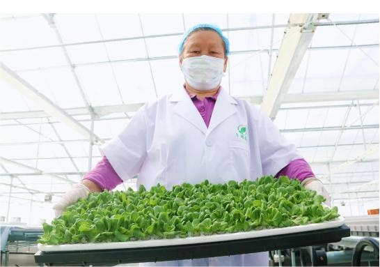 1762411273236790.png 图片10.png