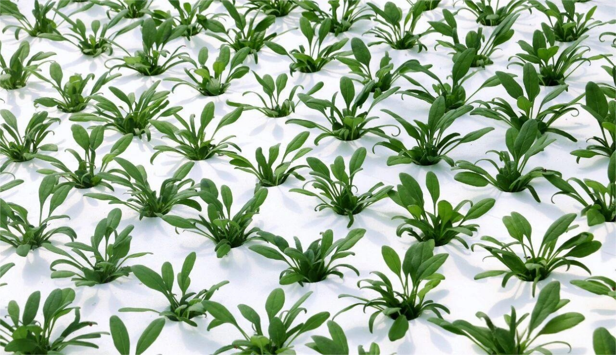 1762411365599440.png 图片11.png