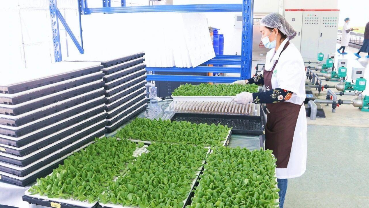 1762411444675427.png 图片12.png