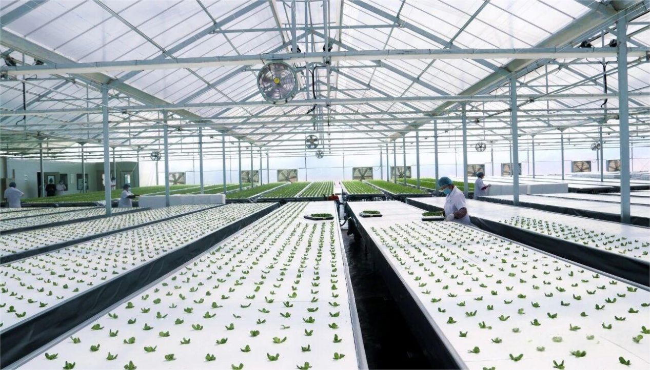 1762411523683173.png 图片13.png