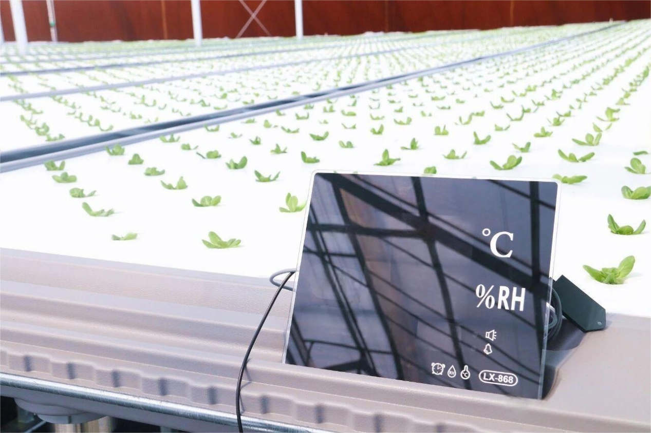 1762411768756084.png 图片14.png