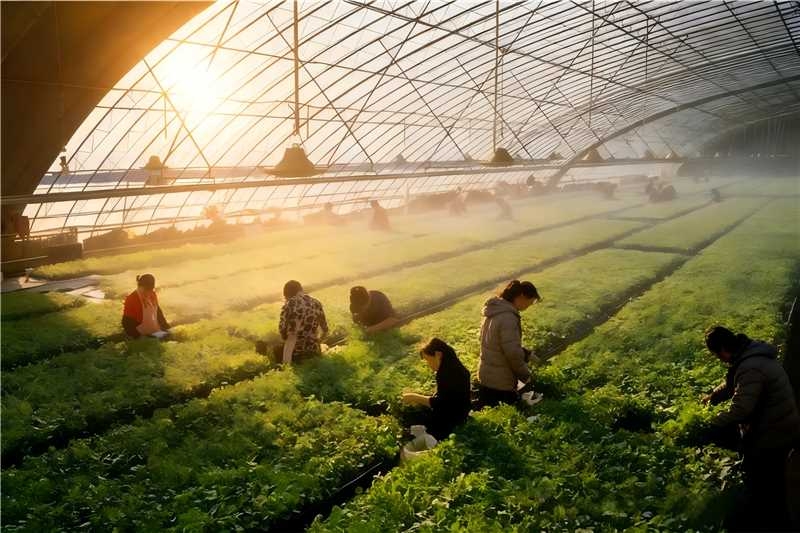 1763104113347788.jpg cd12b250da225a03c08d77842d23ba4c_compress.jpg